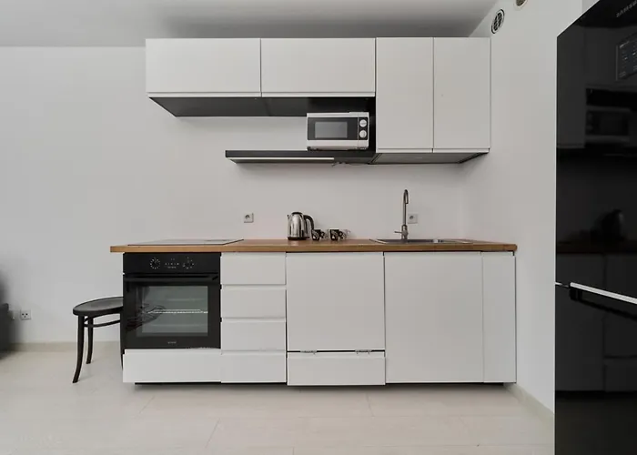 Spacious Dmowskiego By The River With Parking & Balcony By Renters Apartment *